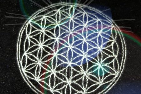 優しい悟りと心の成長と癒し あなたと向き合い生命を輝かせる