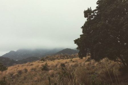 かごめかごめのスピリチュアルな真実に迫る 淡路島シオン山での言い伝えより